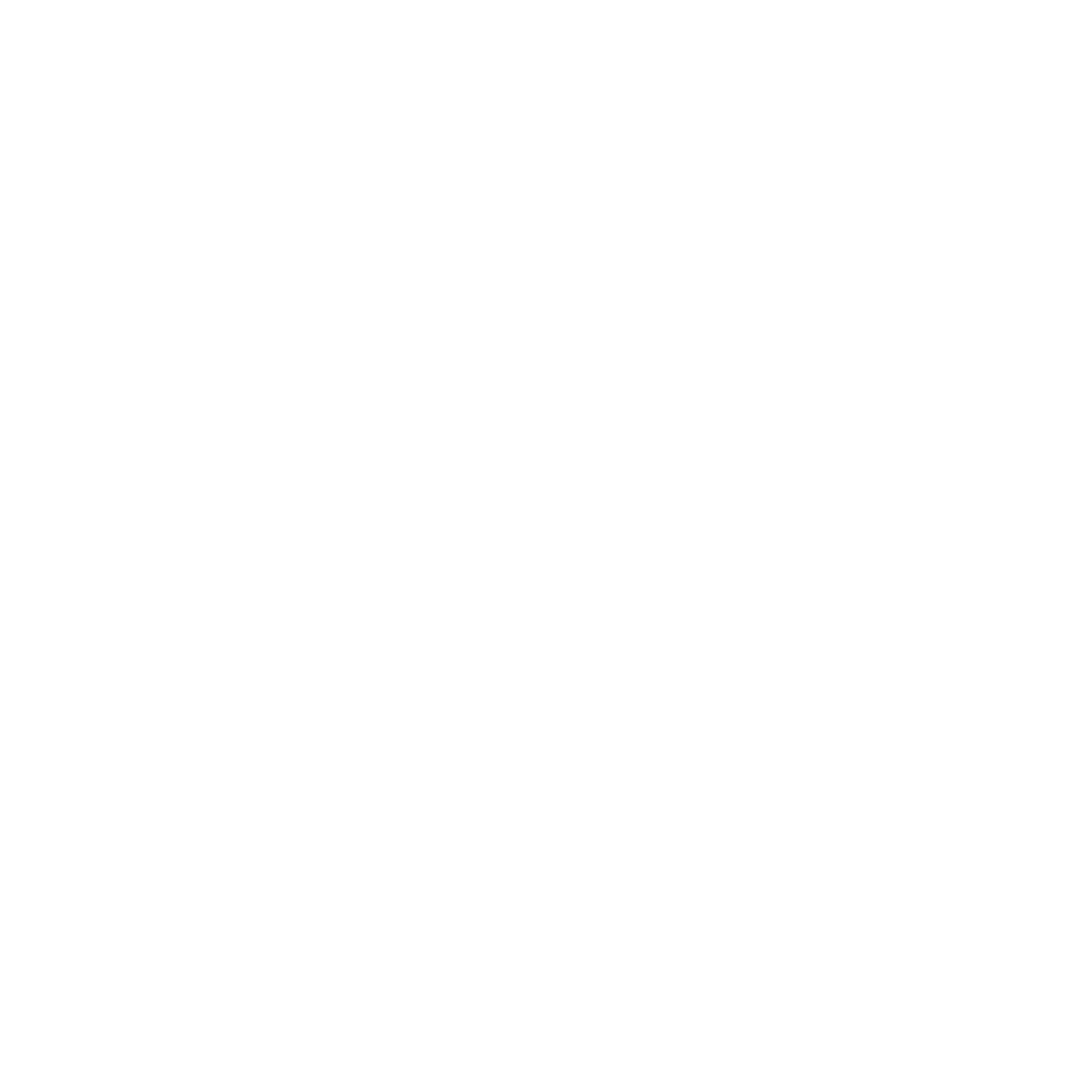 WL Partners logo